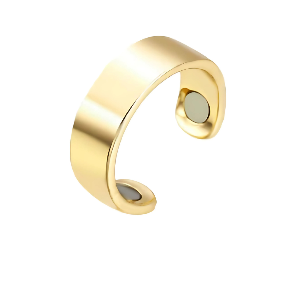 Magnetic Therapy Stainless Steel Healing Ring