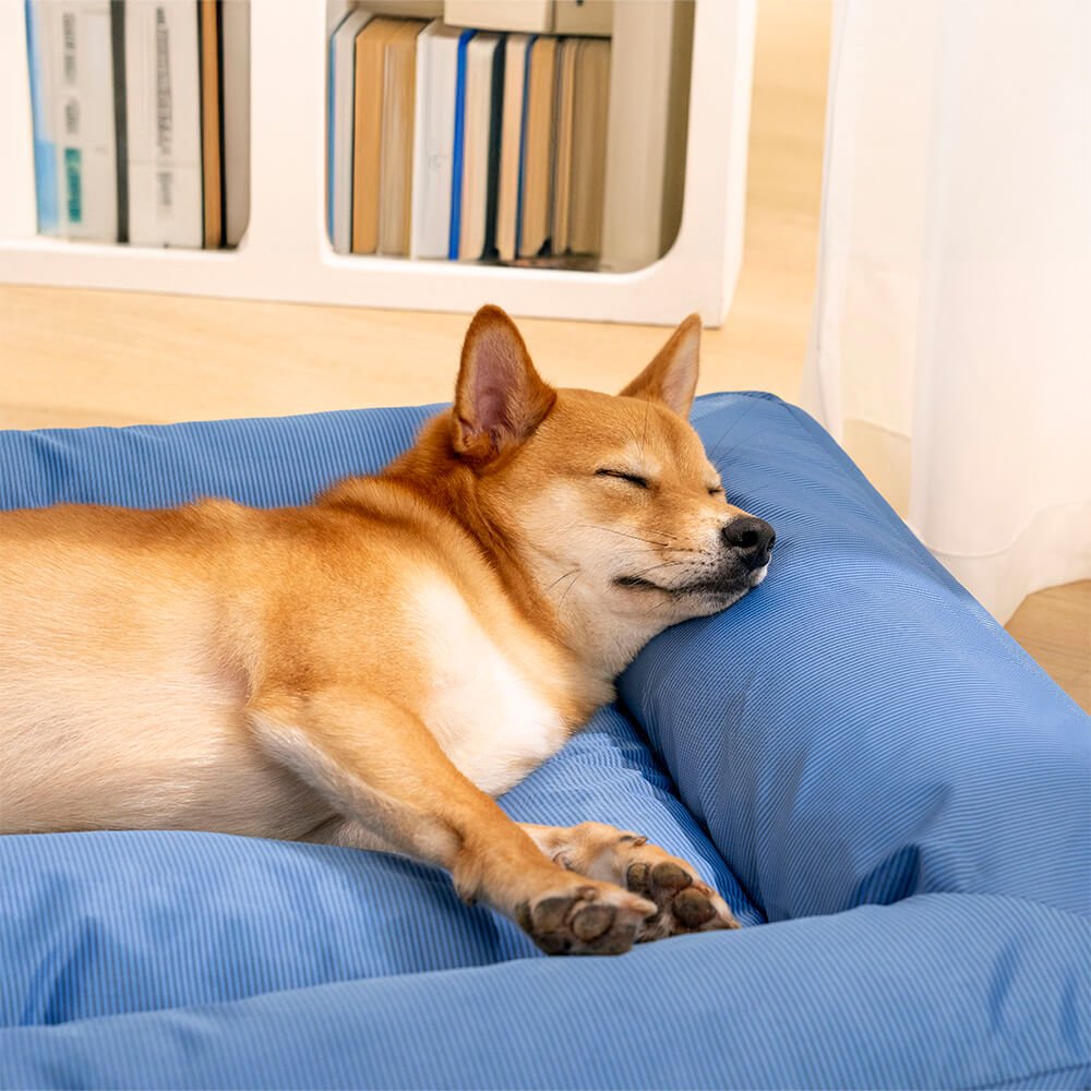 Orthopedic Waterproof Dog Bed