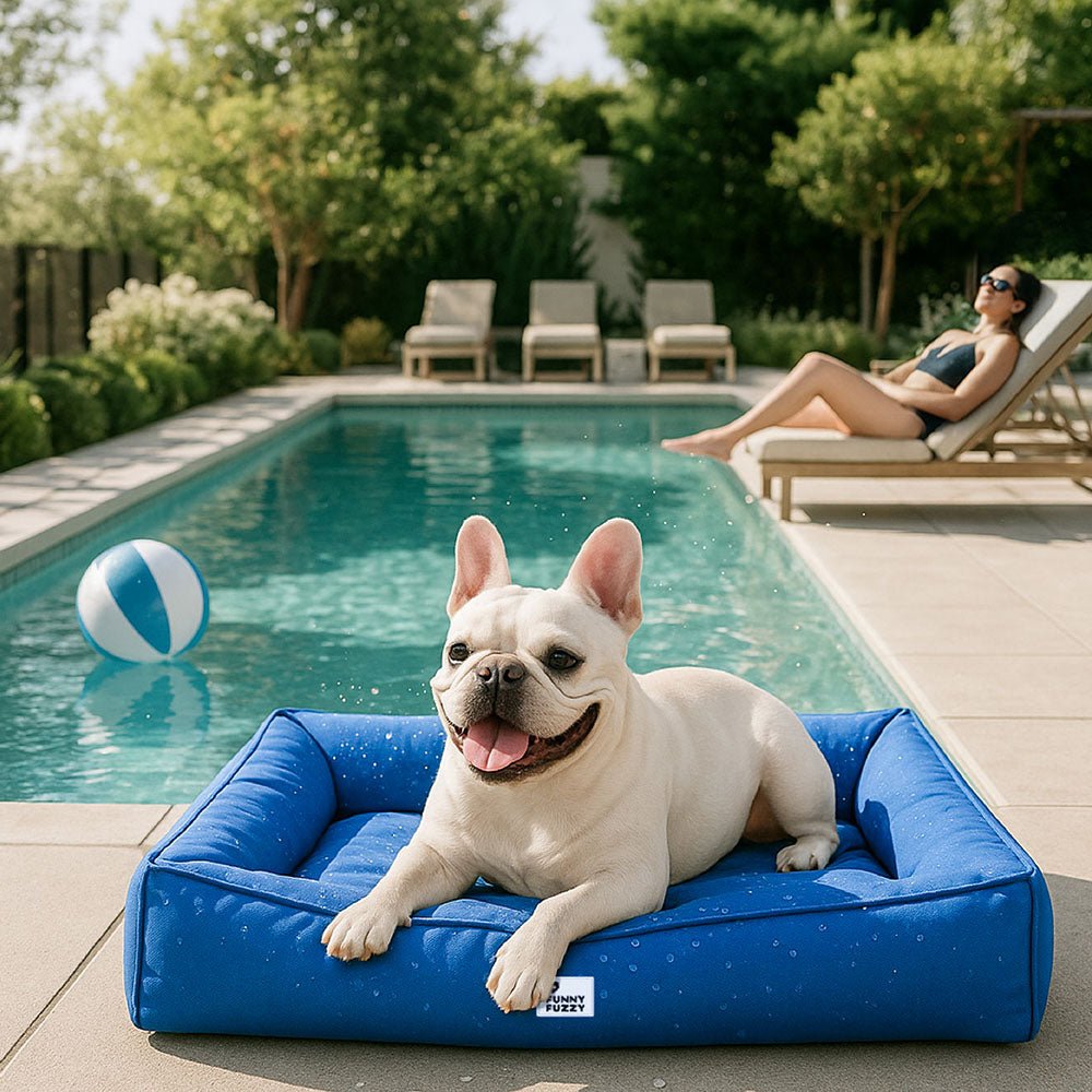 Orthopedic Waterproof Dog Bed