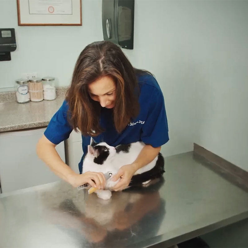 Paw Guard Pro Nail Clipper | Safe and Painless Clipping with Quick Sensors.