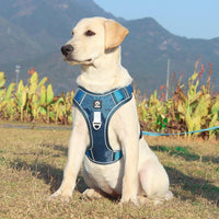 PawsControl - Harnais anti-traction ultime pour chien