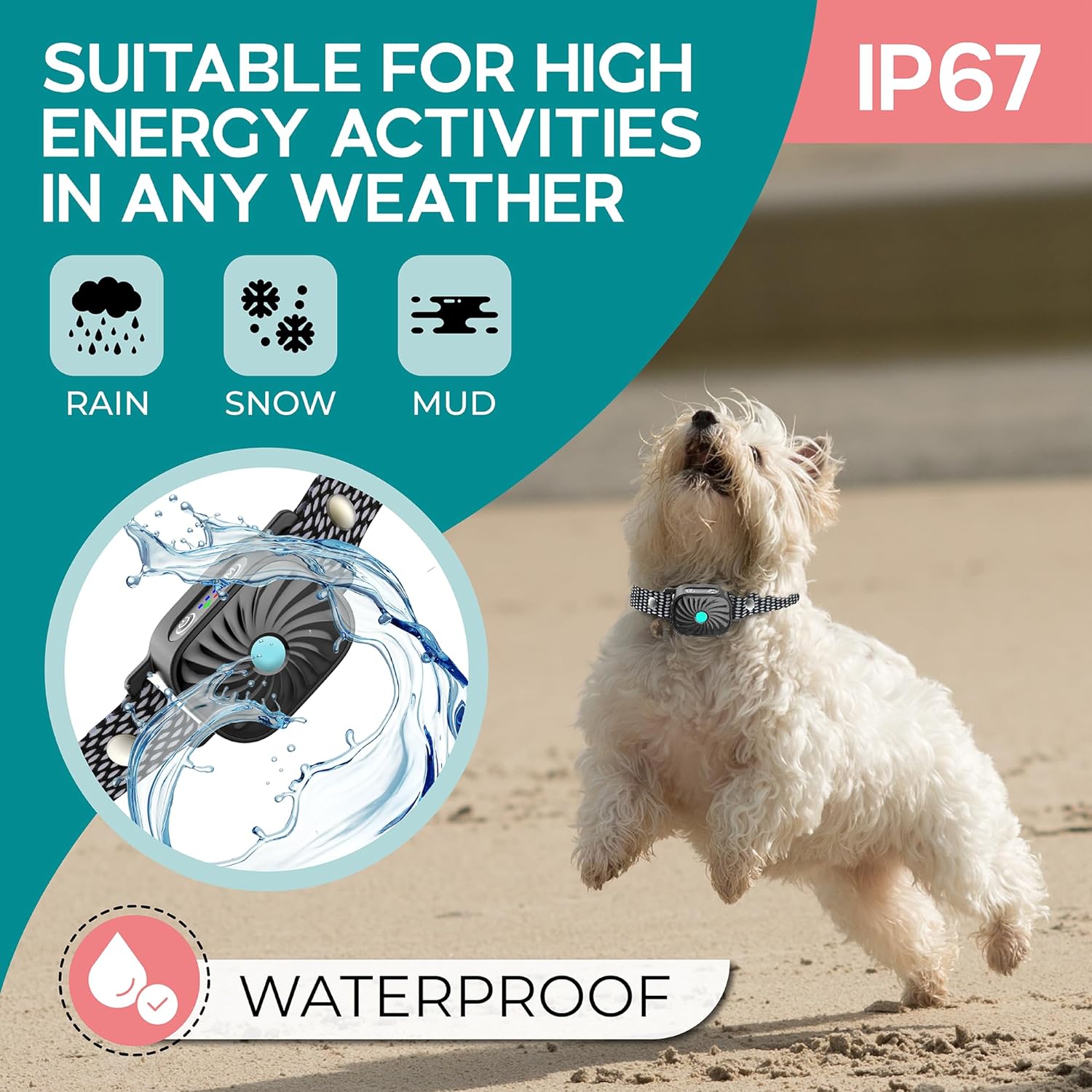 PetSilence Anti-Bark Collar – Gentle and Effective Solution for Small Dogs