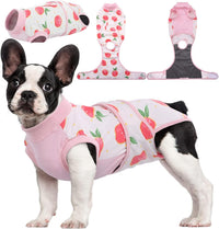 Traje de Recuperación Rápida para Mascotas – Sanación Después de Cirugía