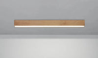 Elegant LED Bar Ceiling Light Fixture