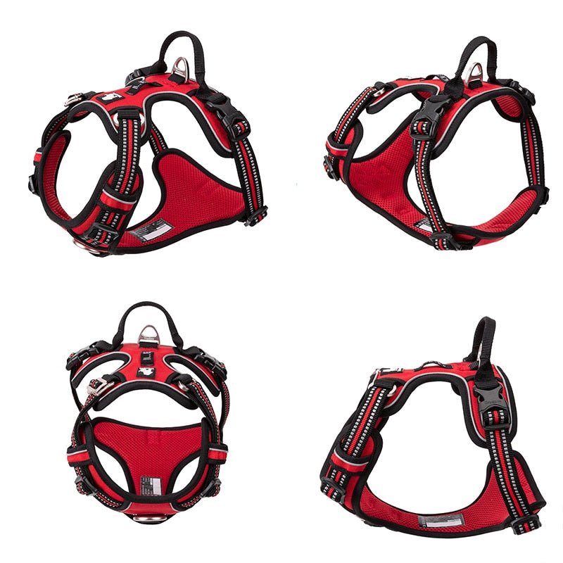 Reflective Dog Harness | Adjustable Collar with Reflective Details for Safety