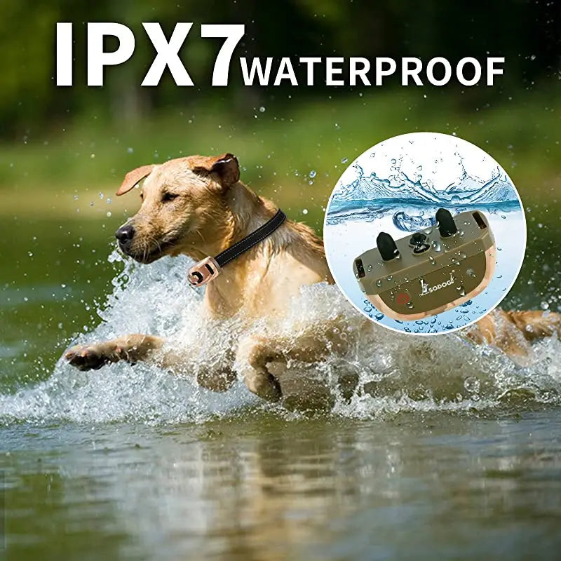 Remote Dog Training Collar for Effective Long-Distance Training