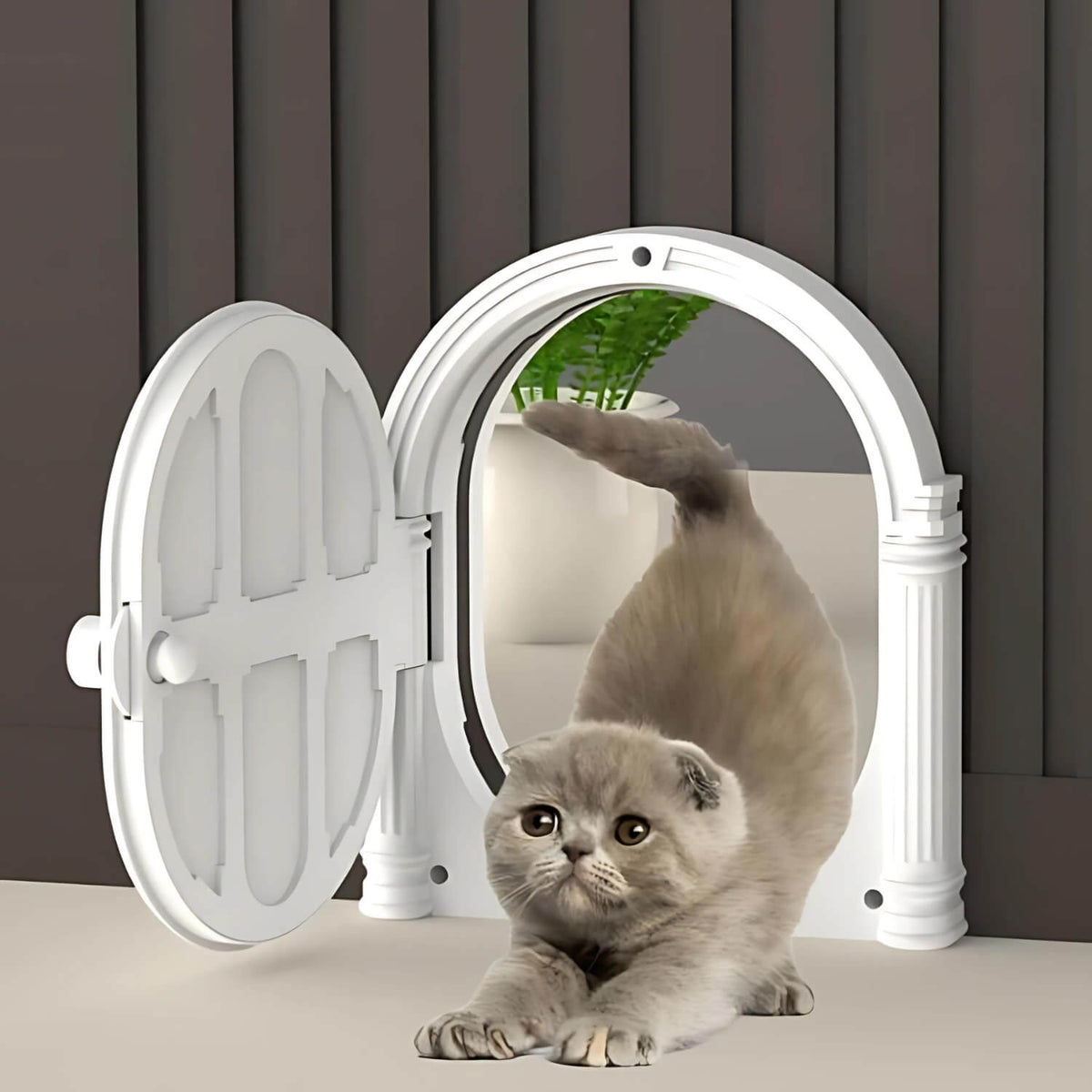 Roman-Style Cat Door (Also Suitable for Small Dogs)