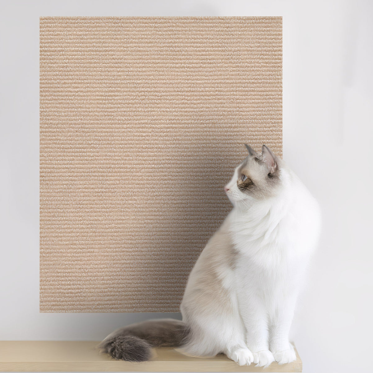 Self-Adhesive Cat Scratch Mat Furniture Protector