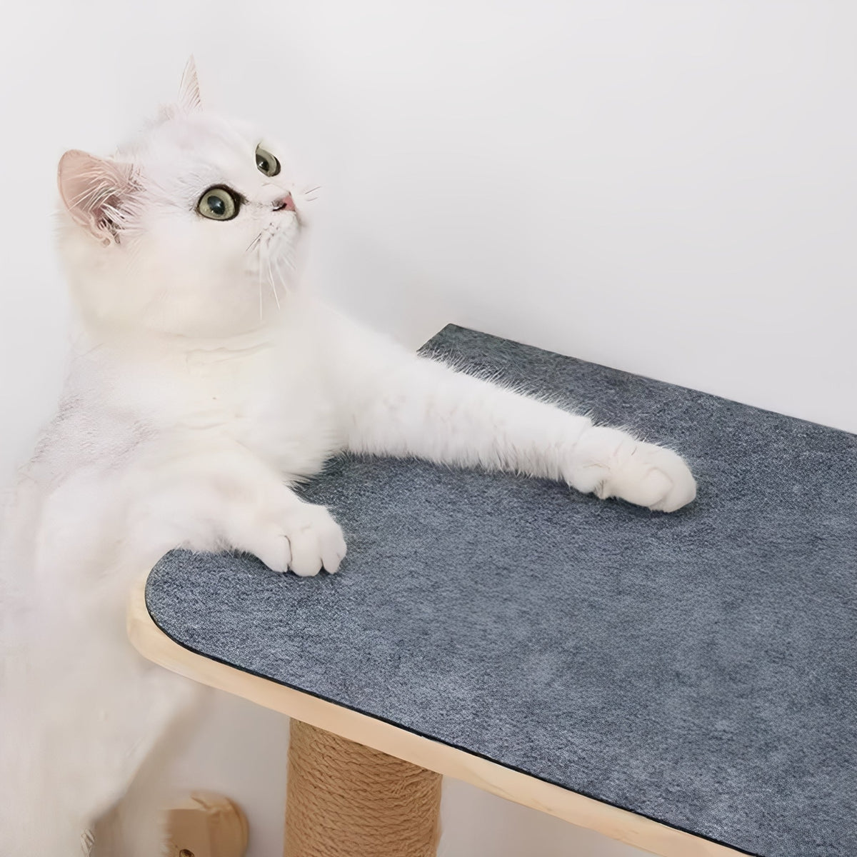 Self-Adhesive Cat Scratch Mat Furniture Protector