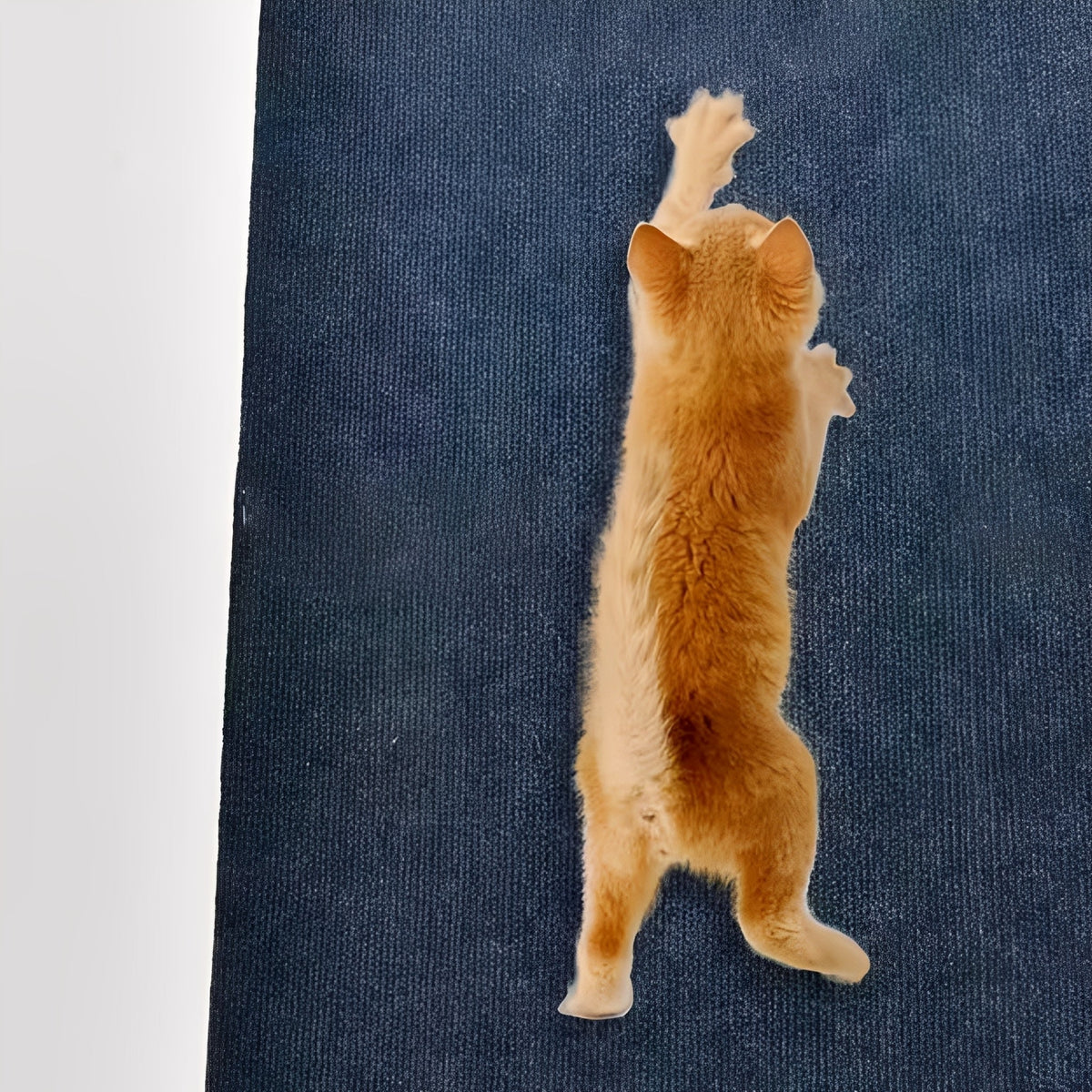 Self-Adhesive Cat Scratch Mat Furniture Protector