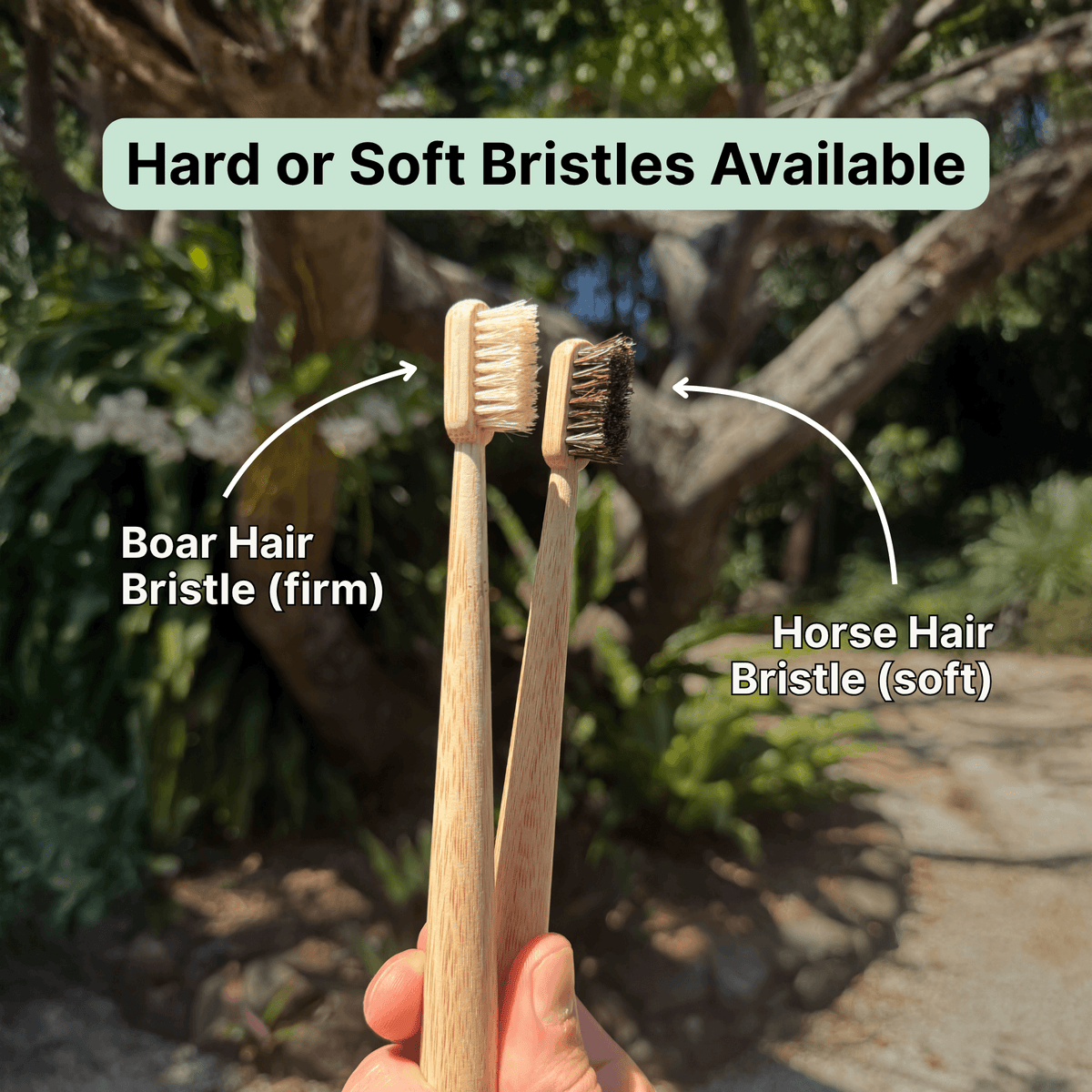 Lot de 4 brosses à dents en bambou avec soies naturelles de sanglier ou de cheval
