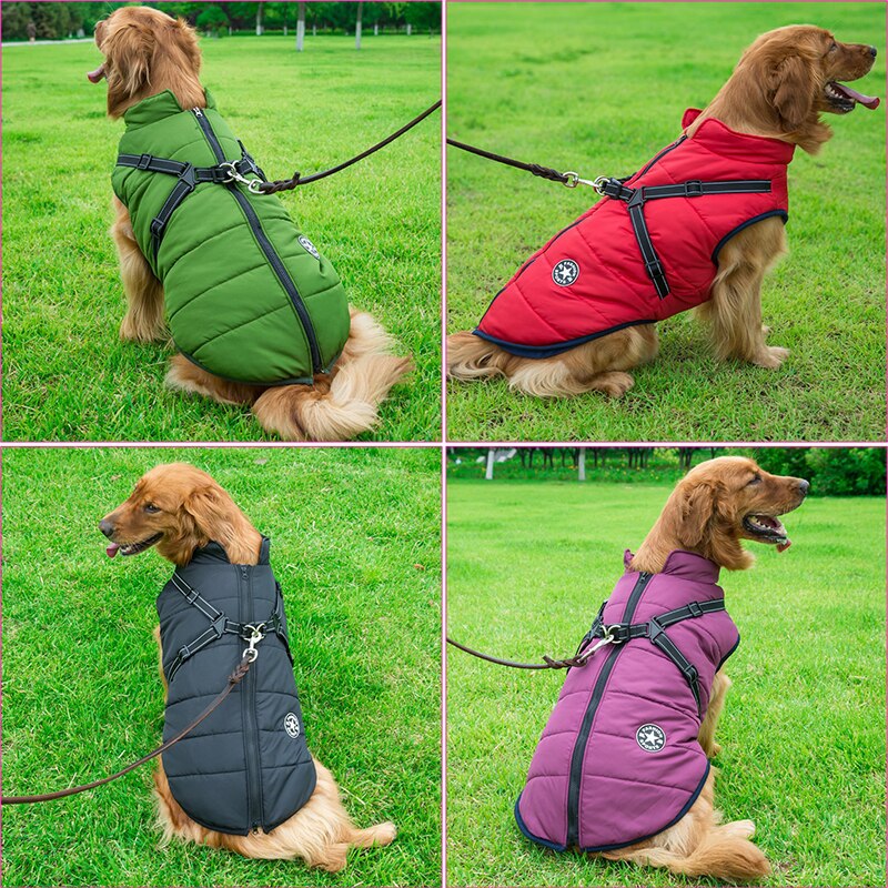 Stylish and Warm Jacket for Winter Walks