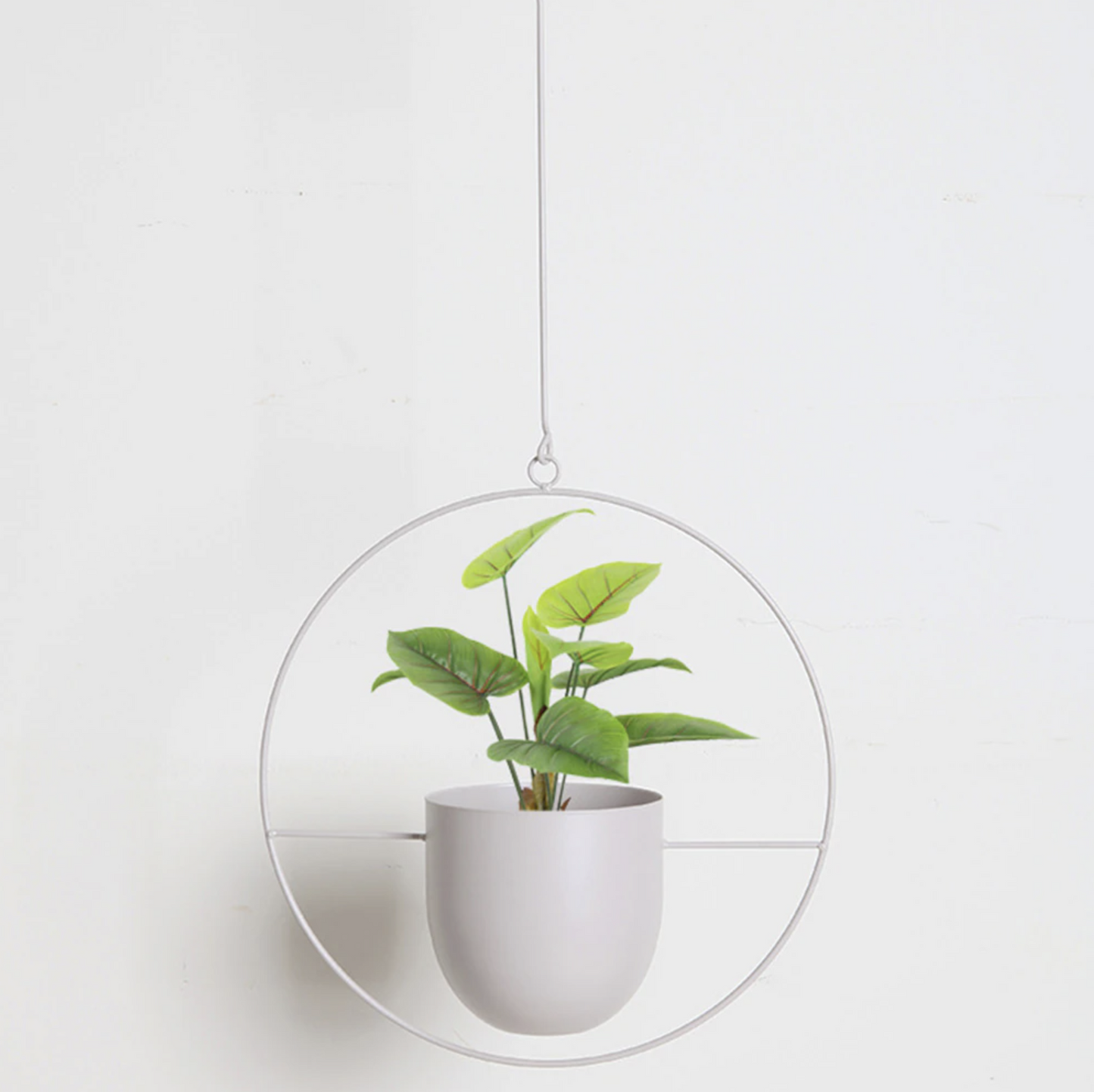 Stylish plant suspension in minimalist design!