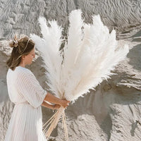 Hierba Pampas Secada Sylara para Decoración Boho del Hogar y Exhibición en Pared