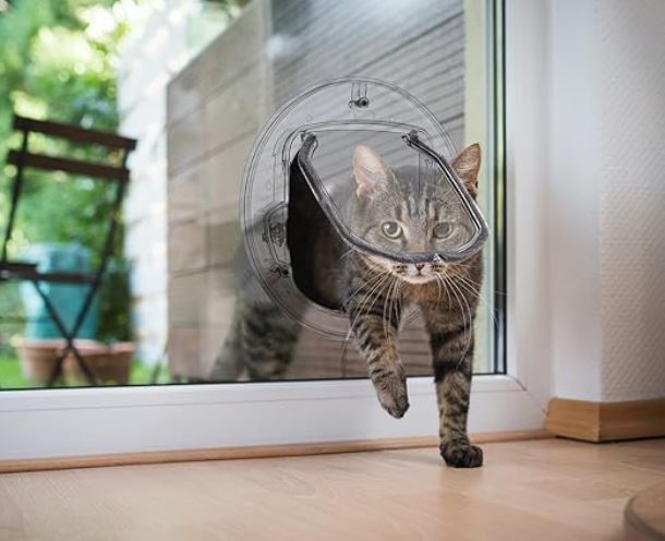 Transparent Pet Door for Control