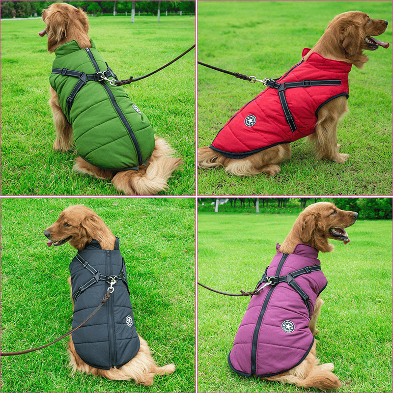Manteau d’hiver imperméable pour chien avec harnais