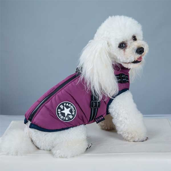 Manteau d’hiver imperméable pour chien avec harnais