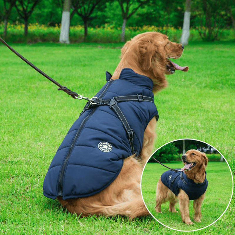 Manteau d’hiver imperméable pour chien avec harnais