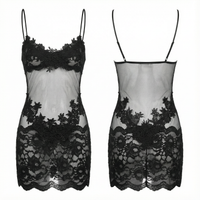 Women's Sheer Embroidered Lace Slip Dress